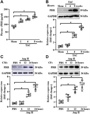 Inhibitory effect of (pro)renin receptor decoy inhibitor PRO20 on endoplasmic reticulum stress during cardiac remodeling